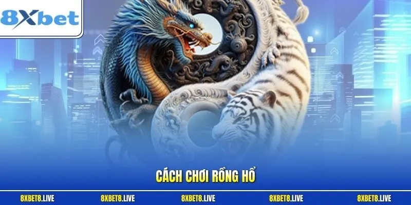 Cách chơi rồng hổ