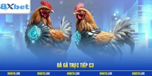 Đá gà trực tiếp C3