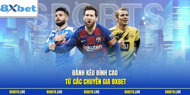 Đánh kèo đỉnh cao từ các chuyên gia 8xbet